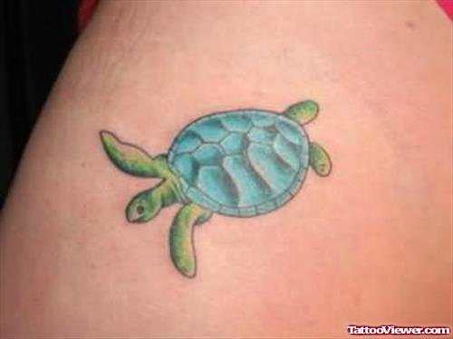 Beautiful Blue Turtle Tattoo