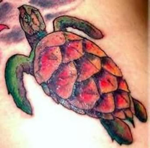 Beautiful Turtle Tattoo For Body
