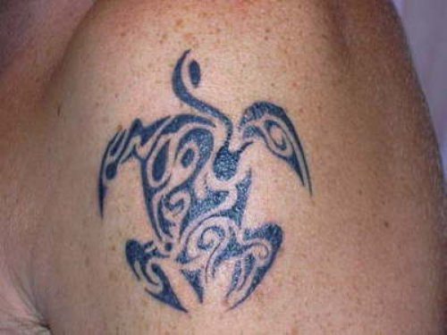 Latest Turtle Tattoo Design
