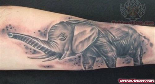 Wild Elephnat Tattoo On Arm