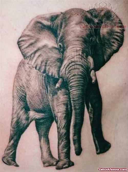 Large Wild Elephant Tattoo