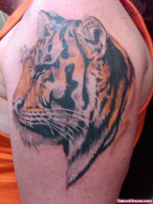 Tiger New Style Wildlife Tattoo
