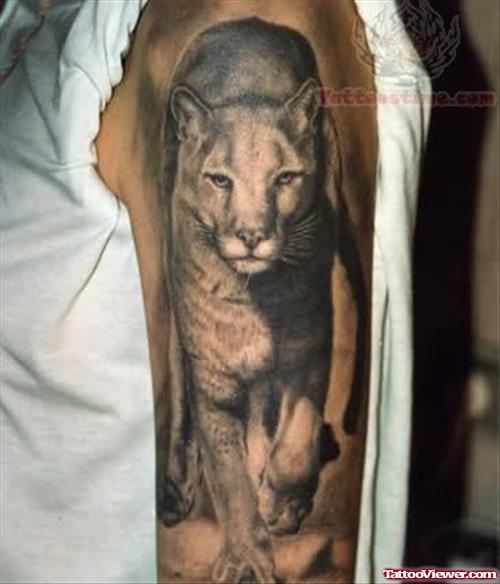 Mountain Lion Tattoo