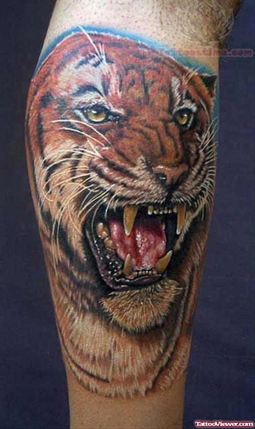 Angry Wild Tiger Tattoo