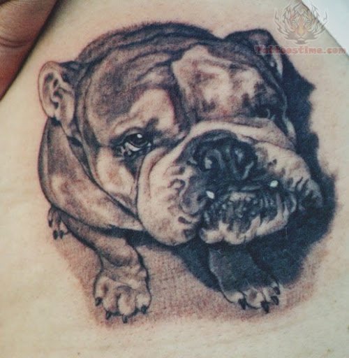 Wild Dog Tattoo