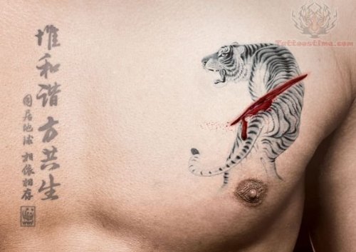 Tiger Wildlife Tattoo On Chest