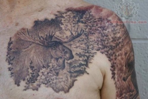 Wildlife Tattoos On Chest And Shoulder