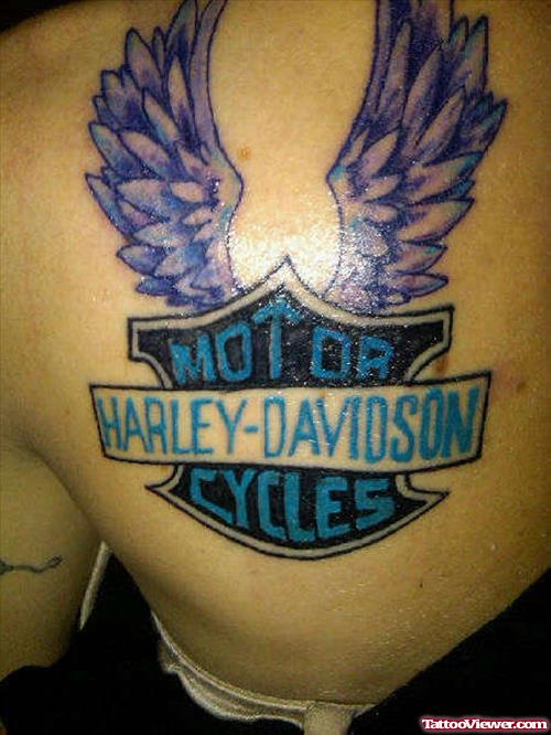 Harley Wings Tattoo On Back Shoulder