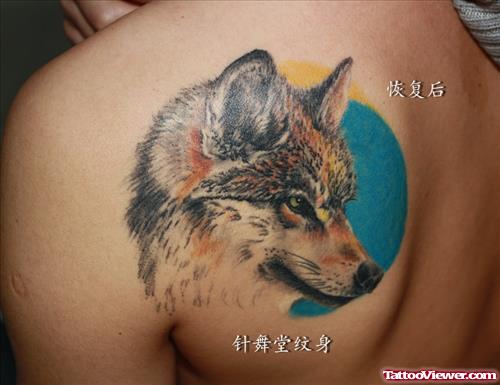 Blue Ink Moon and Wolf Head Tattoo On Left Back Shoulder