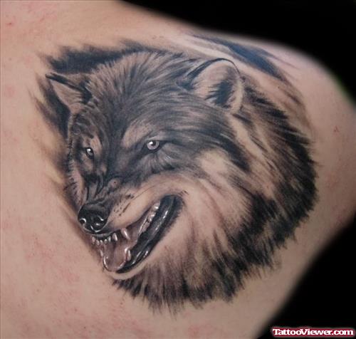 Angry Grey Ink Wolf Tattoo On Right Back Shoulder