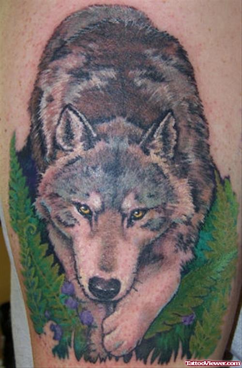 Walking Wolf Tattoo