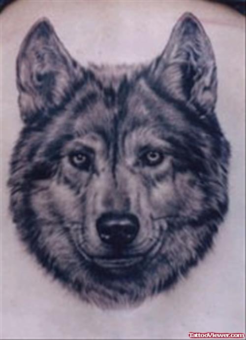 Grey Ink Wolf Head Tattoo Image