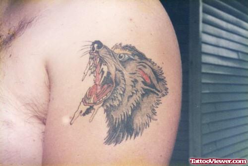 Left SHoulder Wolf Tattoo