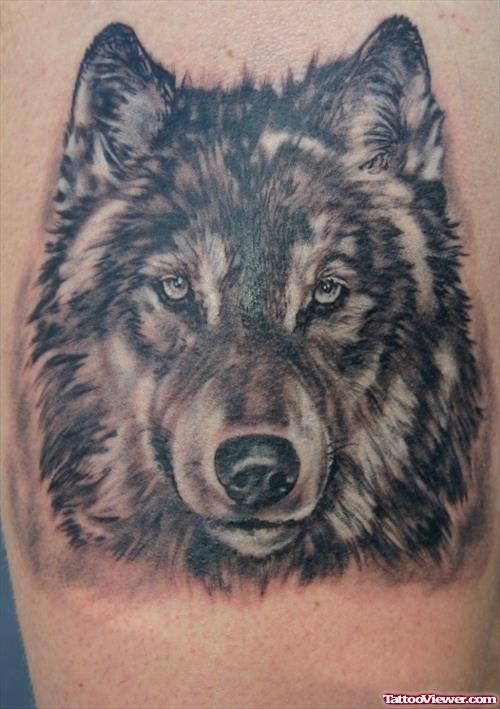 Grey Ink Wolf Head Tattoos For Men