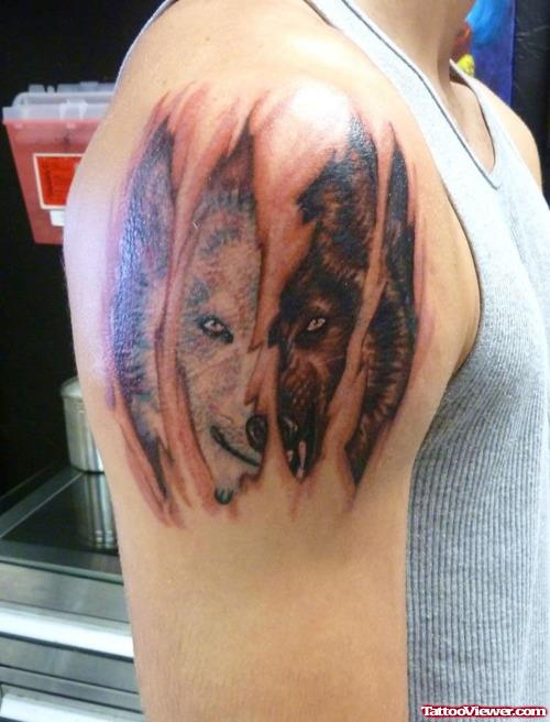 Ripped Skin Wolf Tattoo On Right Shoulder