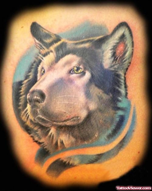 Color Ink Wolf Tattoo Design