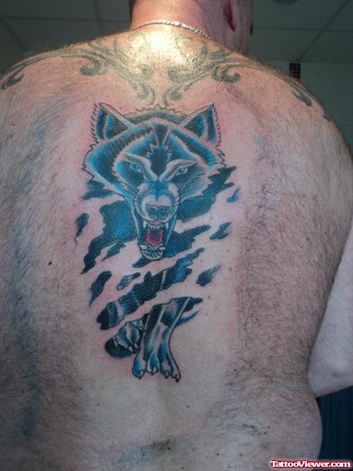 Blue Ink Wolf Tattoo On Back