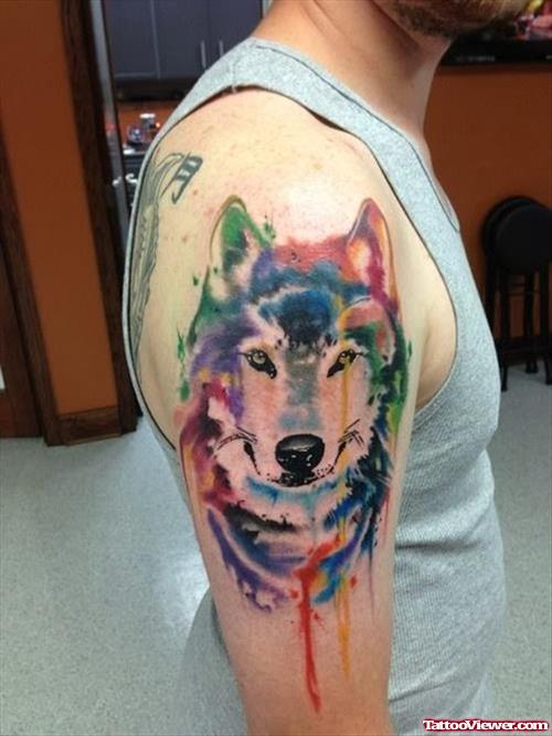 Colored Ink Wolf Tattoo On Right Half Sleeve