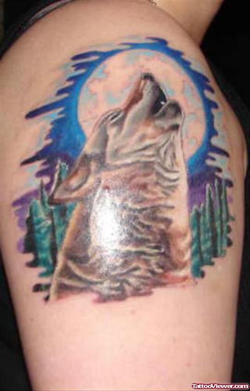 Colored Howling Wolf Tattoo On Right Shoulder