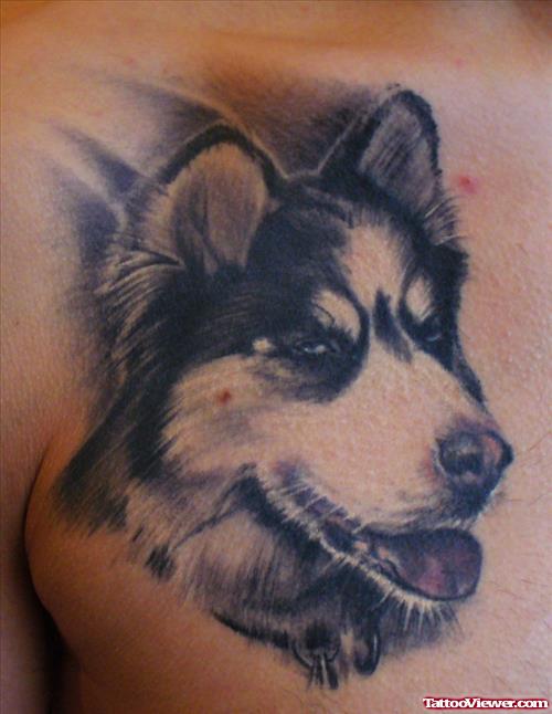 Impressive Grey Ink Wolf Head Tattoo On Man Chest