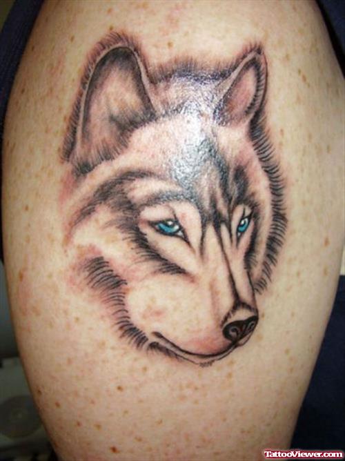 Blue Eyes Grey Ink Wolf Head Tattoo