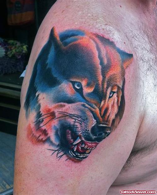 Right SHoulder Colored Wolf Head Tattoo