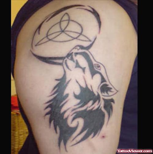 Celtic Knot Wolf Tattoo On Half Sleeve