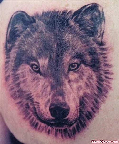 Wolf Head Tattoo On Back Body