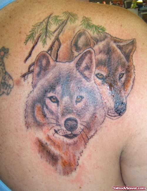 Wolves Heads Tattoos On Back