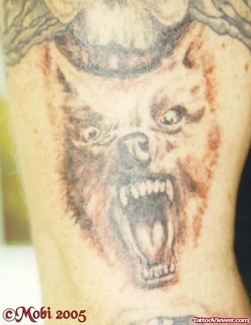 Angry Wolf Tattoo On Side