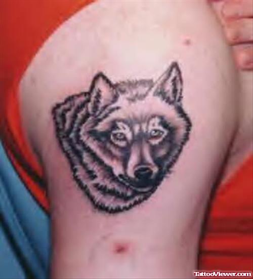 Black Wolf Face Tattoo