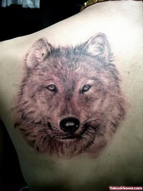 Sweet Wolf Head Tattoo On Back