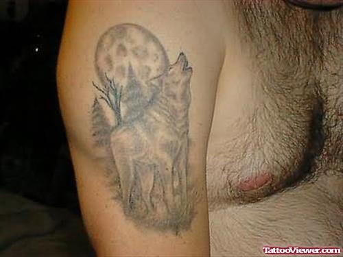 Wild Wolf Tattoo On Shoulder