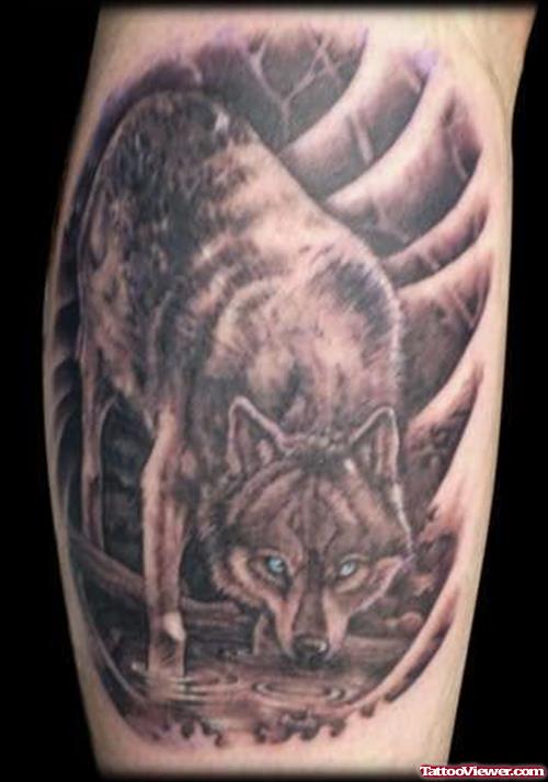 Wild Wolf Tattoo