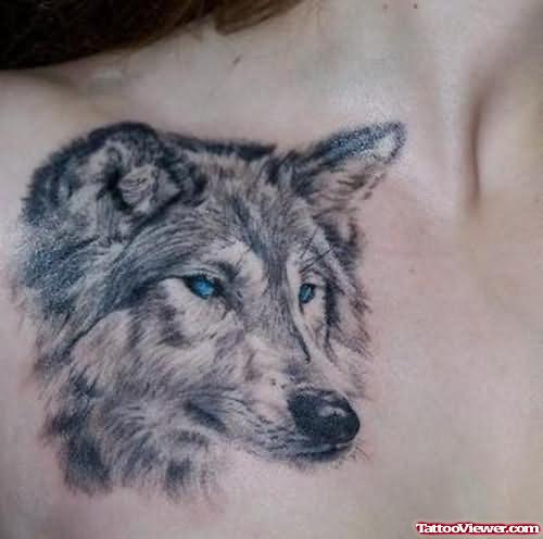 Blue Eyes Wolf Tattoo