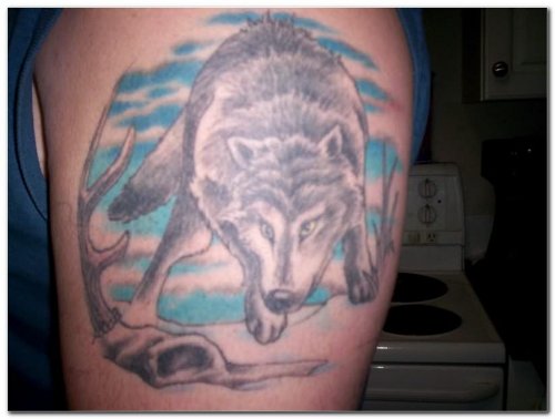 Wolf Tattoo Picture By Admin