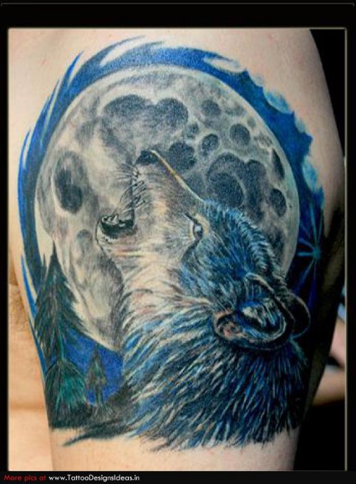 Grey Ink Moon and Wolf Tattoo On Left Shoulder