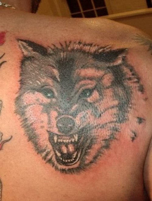 Awesome Grey Ink Angry Wolf Head Tattoo On Right Back Shoulder