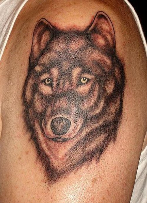 Amazing Grey Ink Wolf Head Tattoo On Shoulder