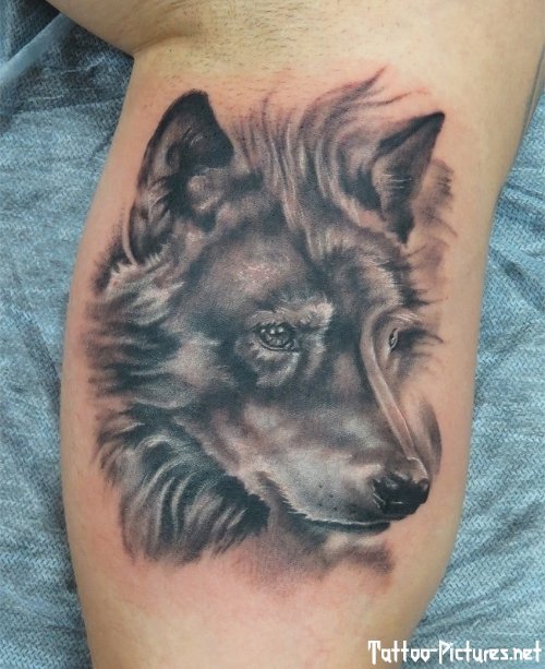 Awesome Grey Ink Wolf Head Tattoo On Leg