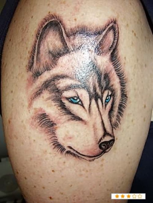 Wolf Tattoos Gallery