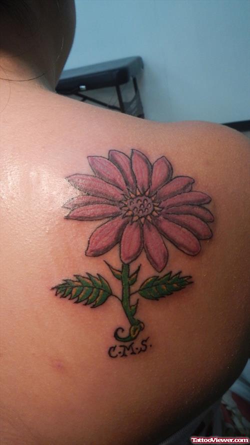 Color Daisy Flower Women Tattoo On Back Shoulder