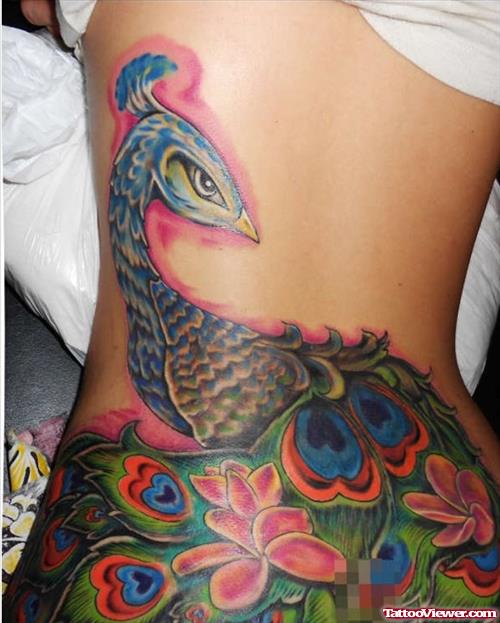 Colored Ink Peacock Tattoo On Back For Women