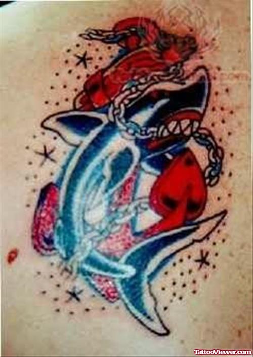 Angry Dolphin - Old School Tattoo Picture
